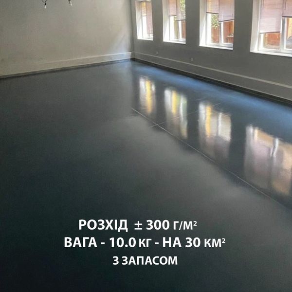 Епоксидна підлога в гаражі 10 кг на 30 м2 Графіт plastall MG-102-Graphite фото